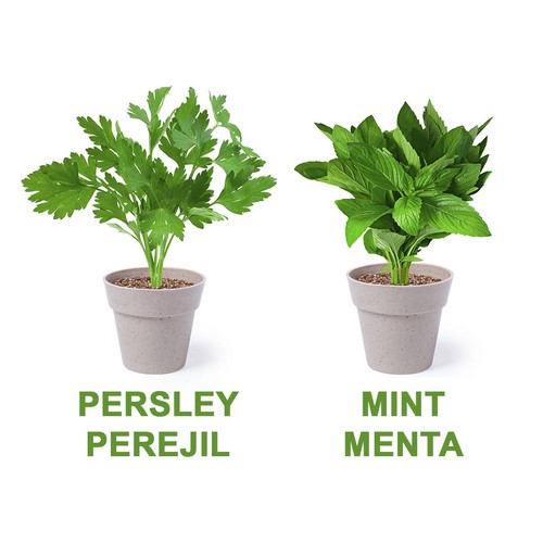 Biologisk nedbrydelige potter - Bild 2